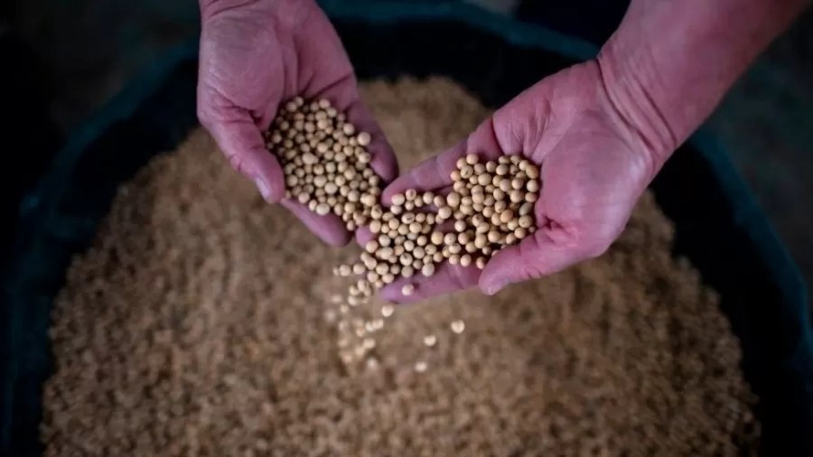 Produtores de soja dos EUA pedem fim das tarifas com a China e alertam para risco de falências em&nbsp;massa